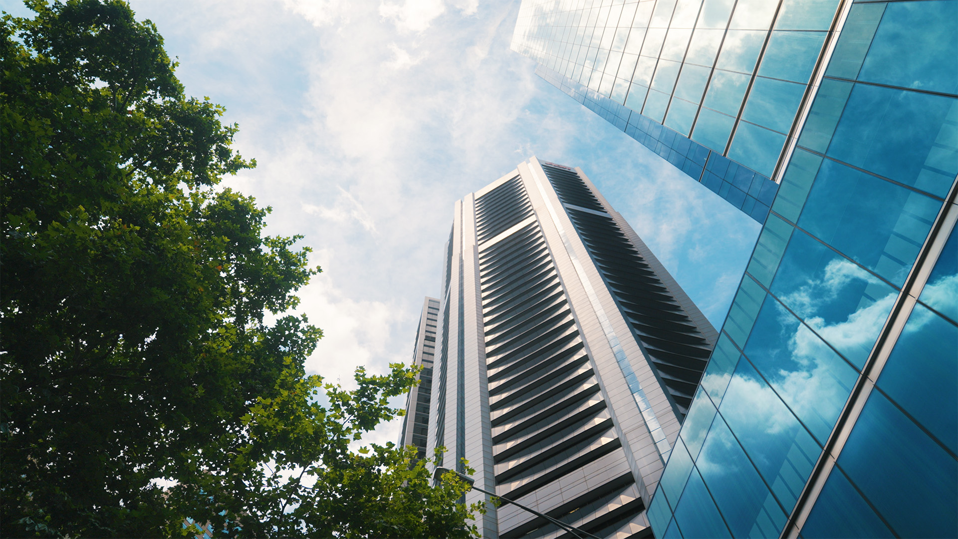 Office Move — McCormack Property