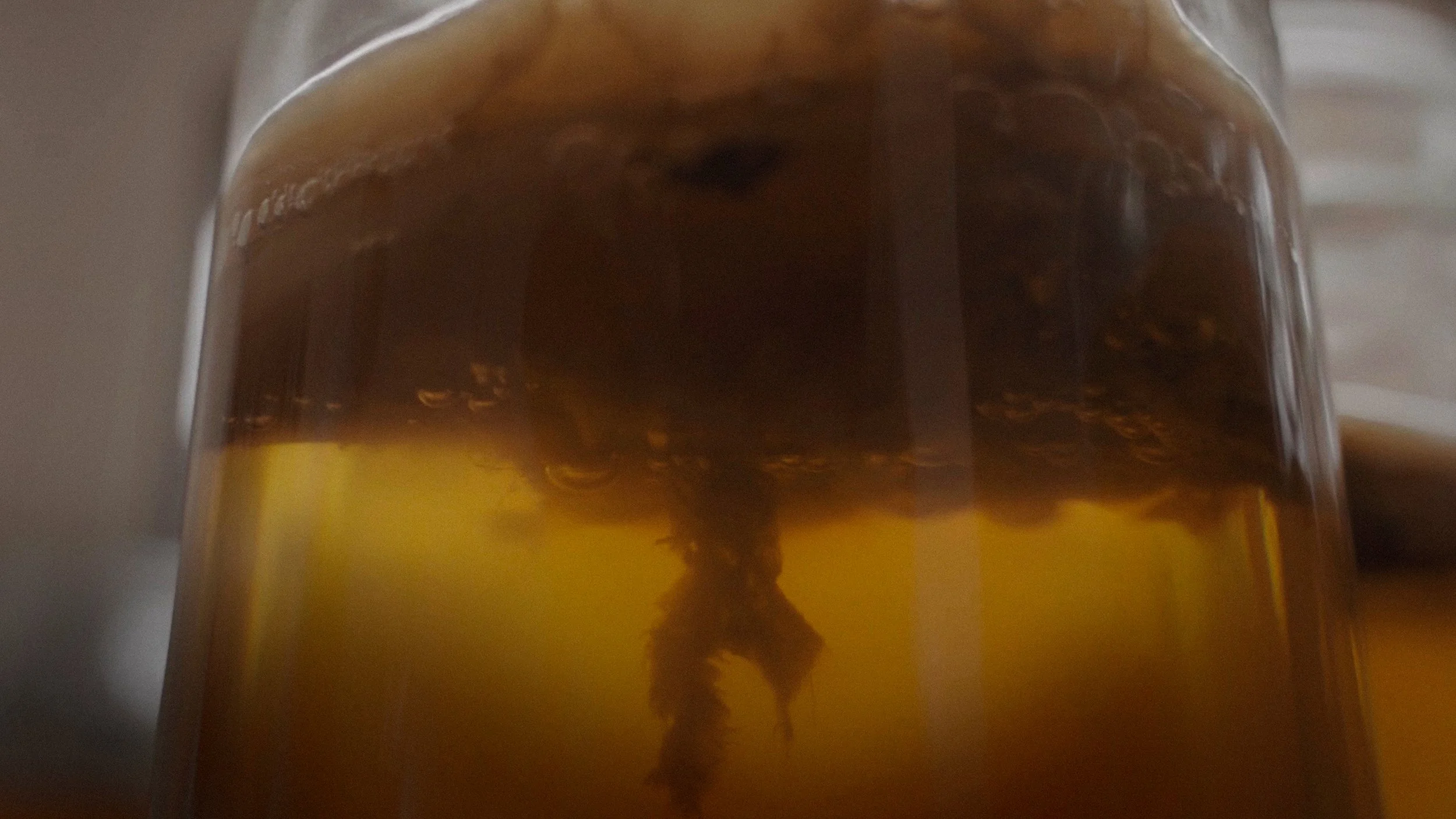 KOMBAK — The Weird Drink That Saved My Life